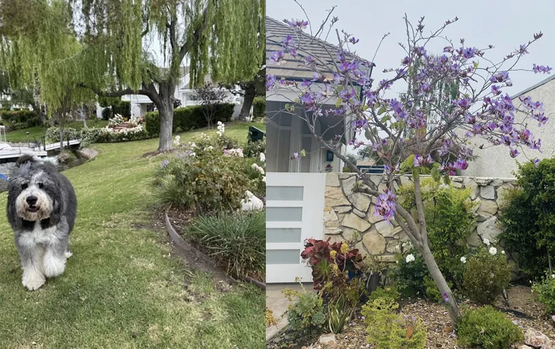 hoang-kieu-va-ngoc-trinh-7