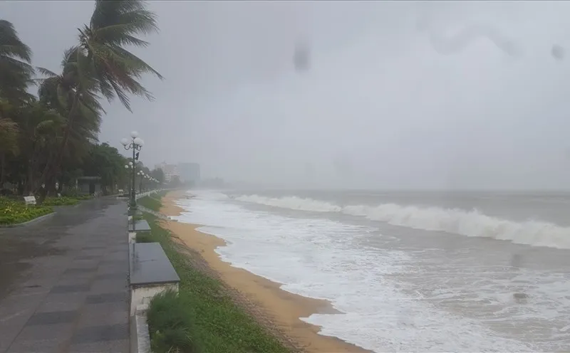 bao-so-2-cua-viet-nam