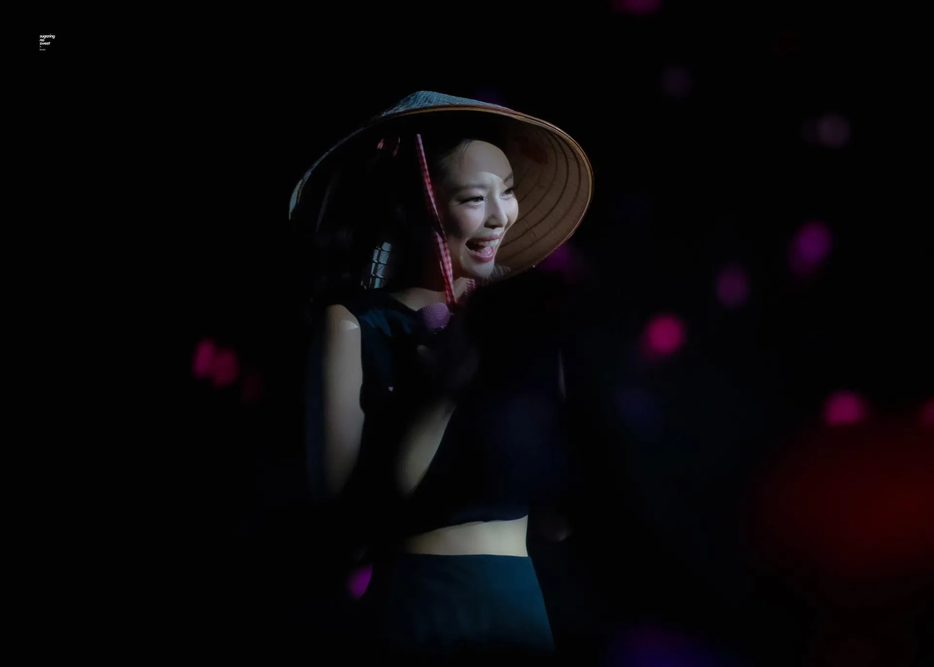 blackpink-tai-viet-nam-9