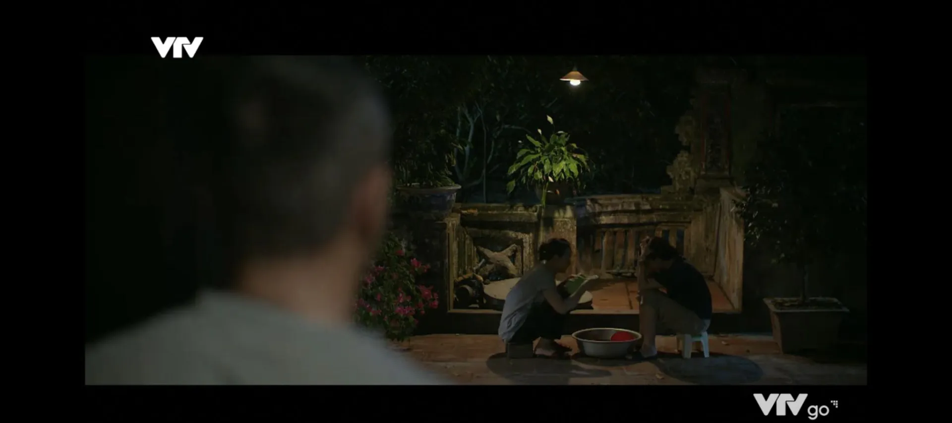 phan-canh-dat-gia-phim-gia-dinh-minh-vui-bat-thinh-linh-1