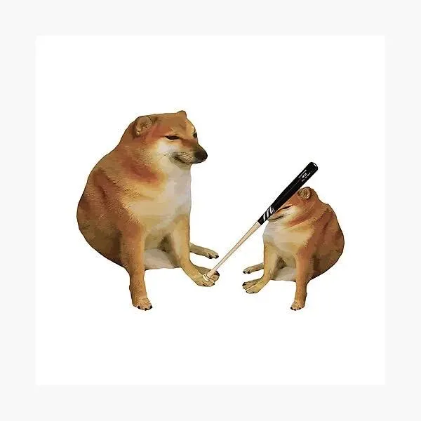 chu-cho-cheems-qua-doi-o-tuoi-12-khien-nhieu-nguoi-tiec-thuong-6