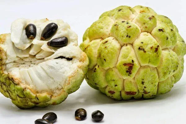 qua-na-100-trieu-dong-tai-lang-son-khong-co-ma-mua