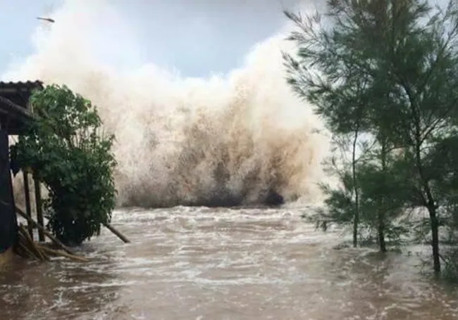 nguy-co-bao-gop-khi-bao-sao-la-di-chuyen-phuc-tap-1