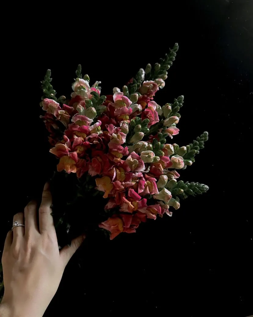 gin-tuan-kiet-thong-bao-cuoi-puka-3