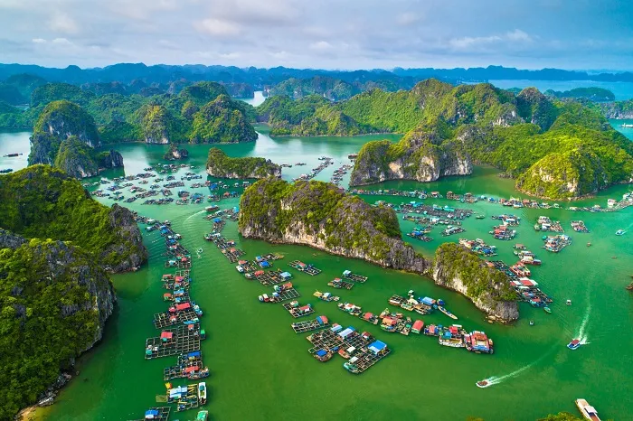 vinh-ha-long-quan-dao-cat-ba-duoc-unesco-cong-nhan-di-san-thien-nhien-the-gioi