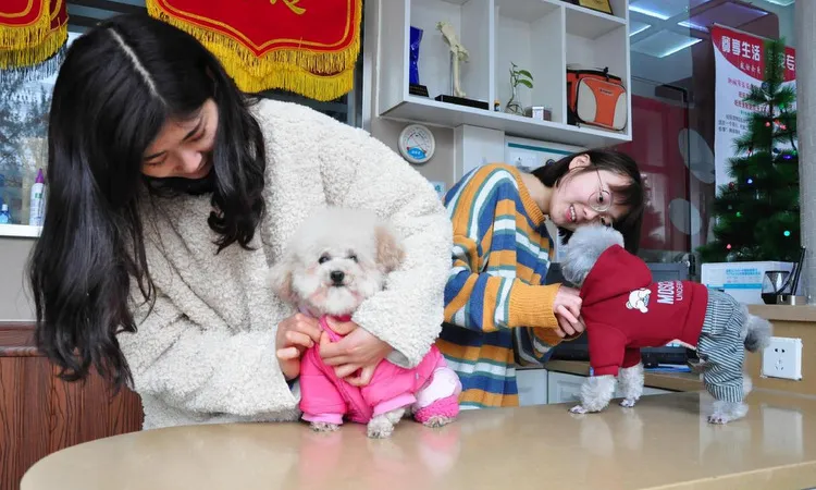 nghe-trong-cho-cho-nha-giau-co-nguon-thu-nhap-lon-2