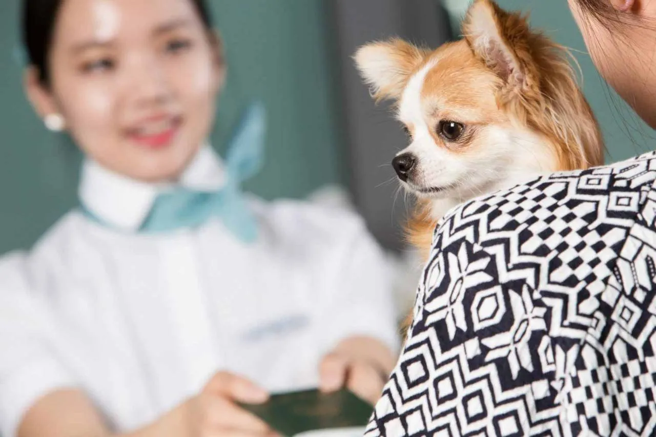 nghe-trong-cho-cho-nha-giau-co-nguon-thu-nhap-lon-5