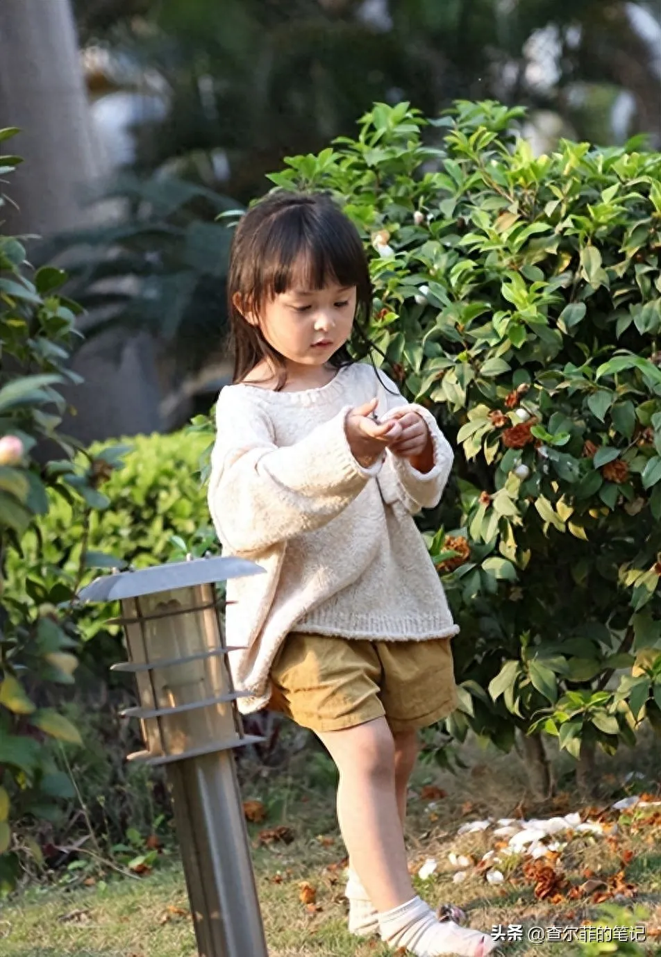 em-be-xinh-dep-kiem-trieu-do-tu-guong-mat-lon-len-the-nao-12