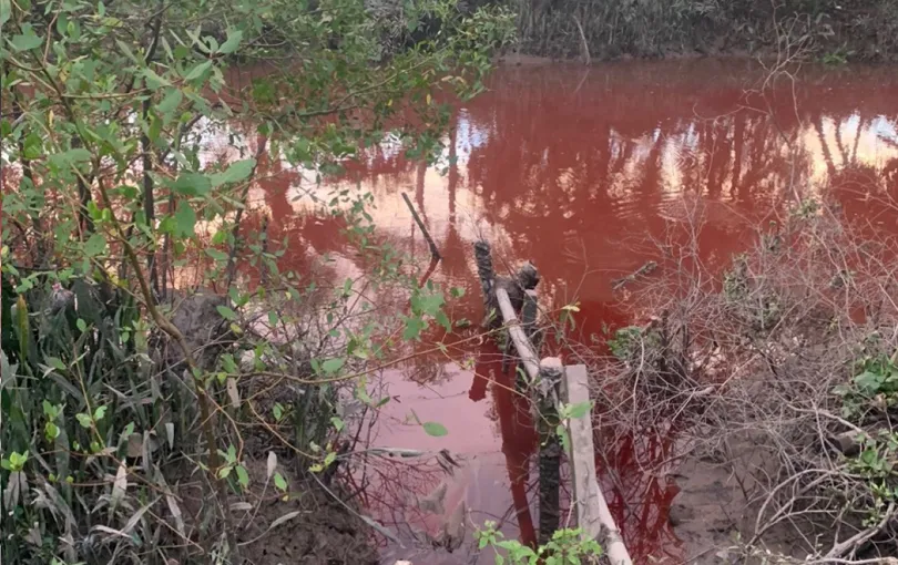 kenh-nuoc-chuyen-sang-mau-do-khien-nguoi-dan-tien-giang-hoang-mang-1