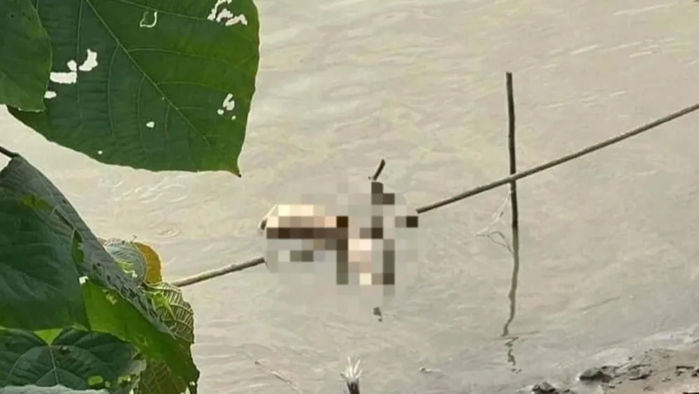 da-bat-duoc-nghi-pham-vu-co-gai-bi-sat-hai-o-ha-noi-1