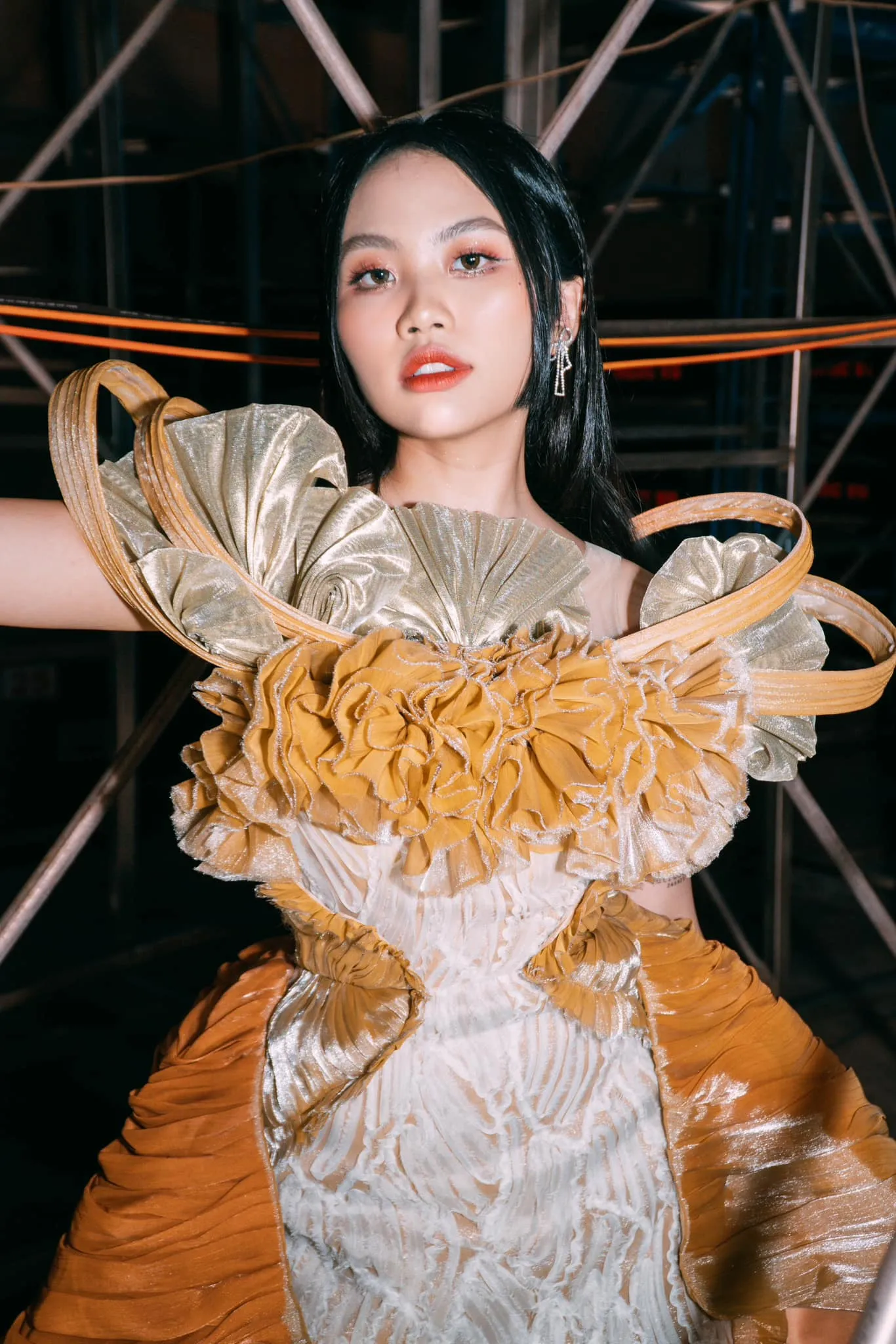 co-quan-chuc-nang-noi-ve-viec-phuong-my-chi-gui-don-trinh-bao-3