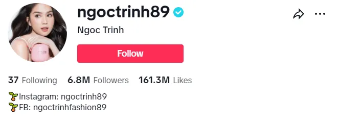 ngoc-trinh-kiem-tien-the-nao-sau-khi-vuong-vong-lao-ly-1