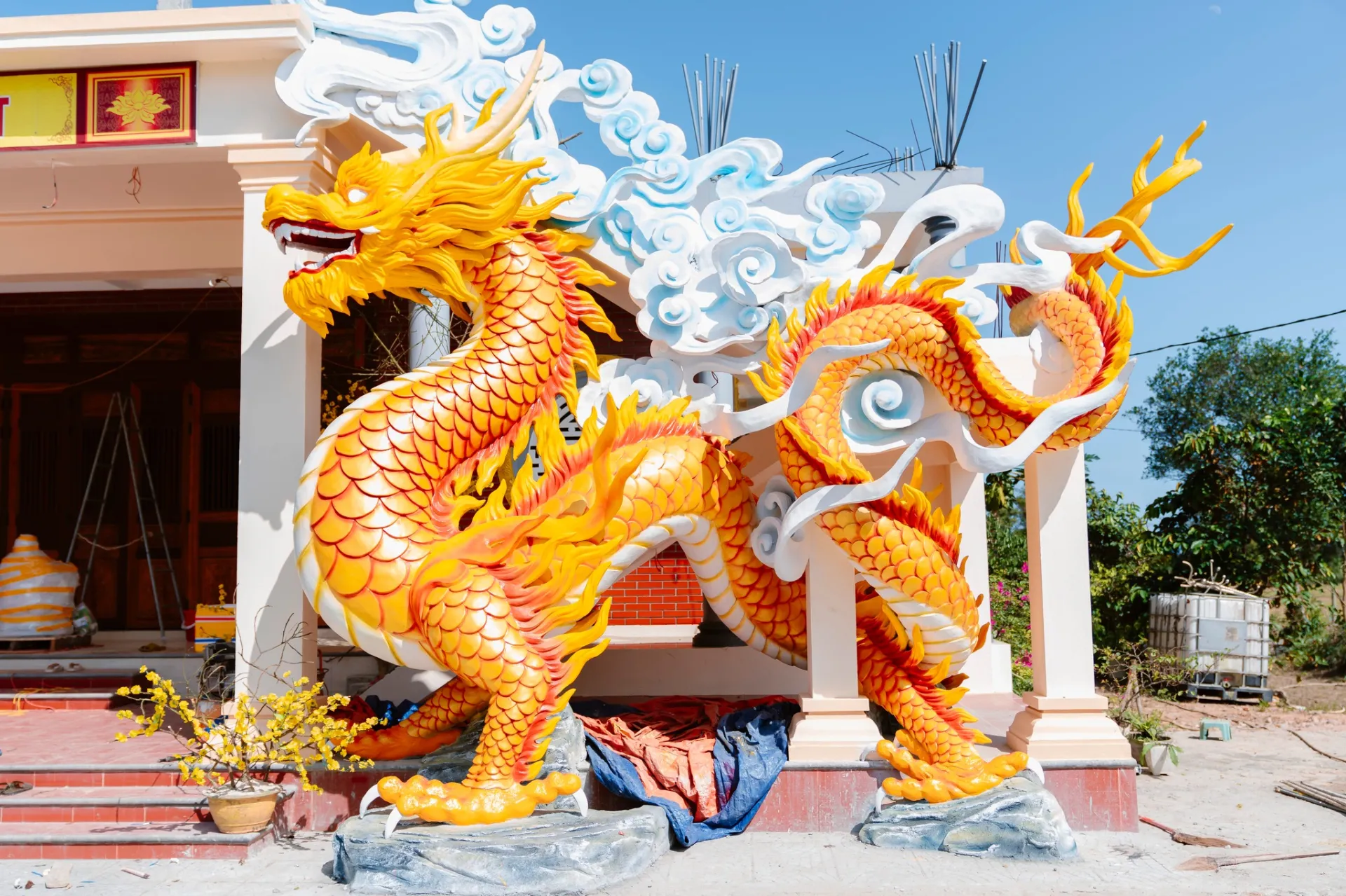 linh-vat-rong-2024-tai-quang-tri-duoc-hoan-thanh-2