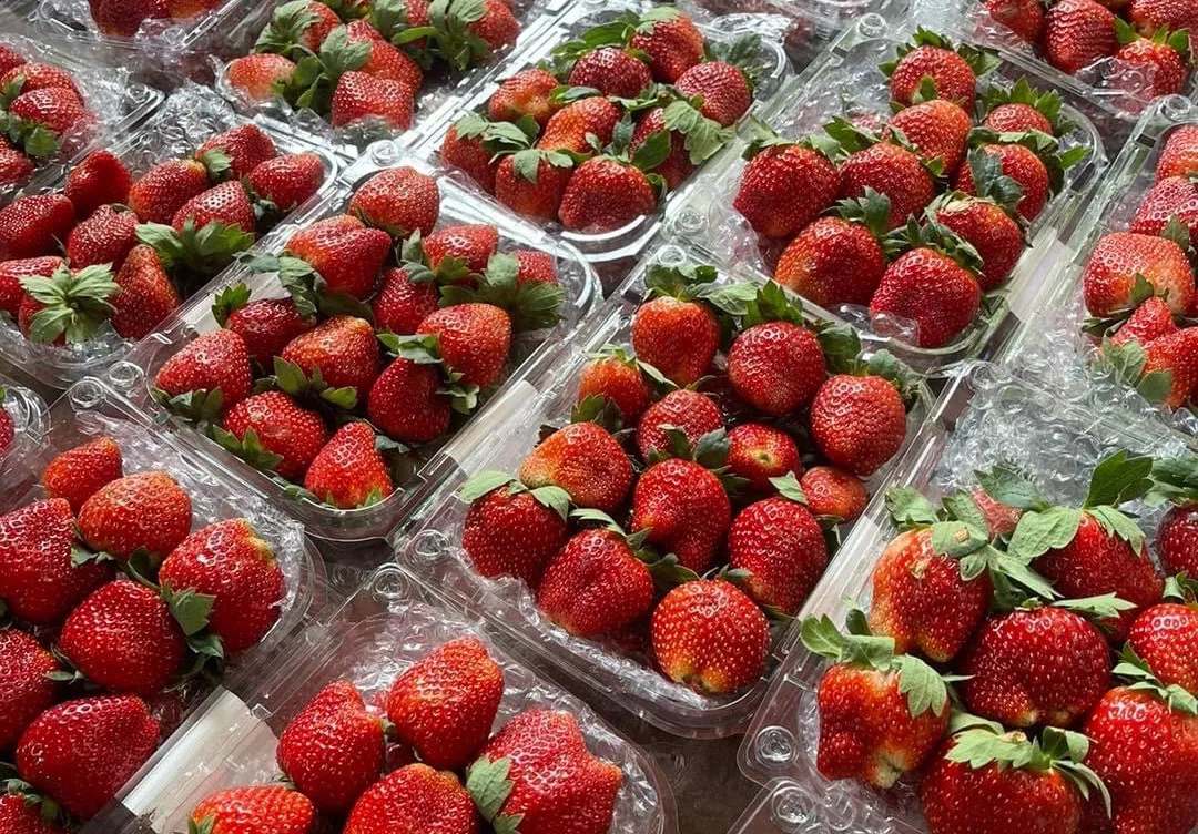 cach-phan-biet-dau-tay-son-la-va-trung-quoc-1