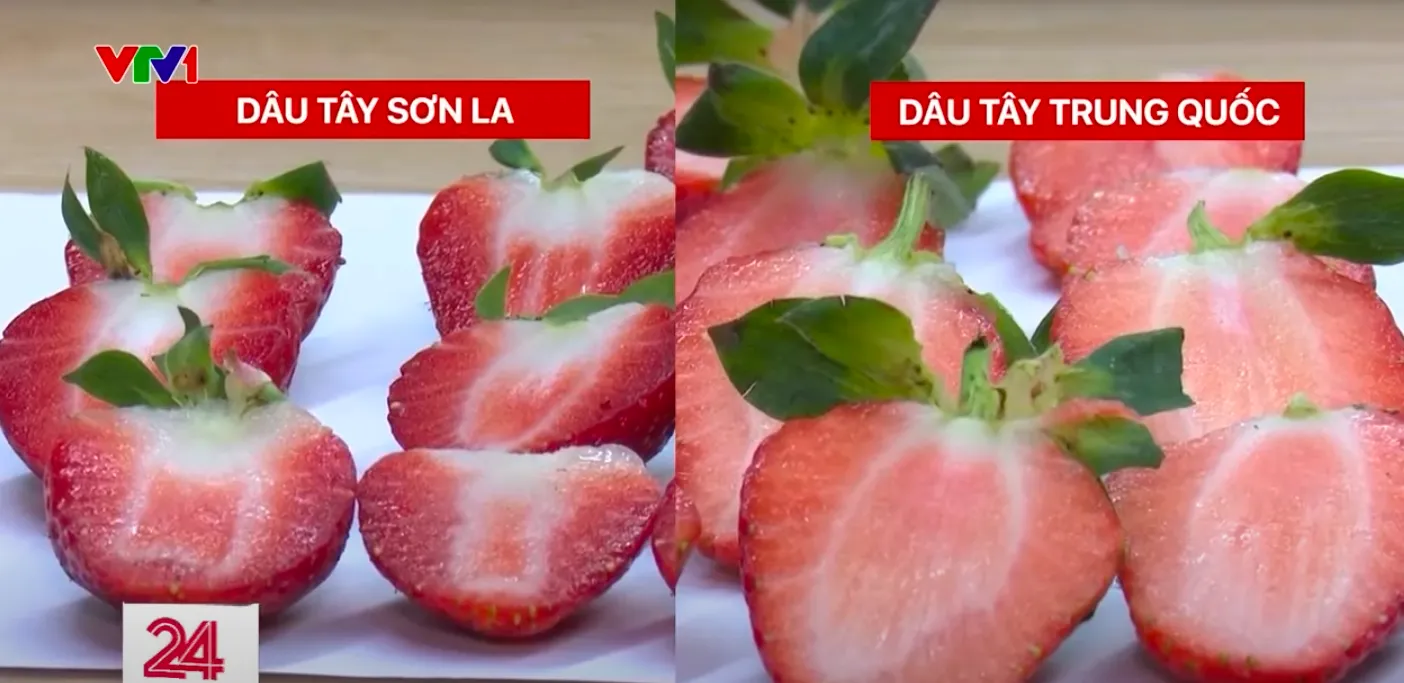 cach-phan-biet-dau-tay-son-la-va-trung-quoc