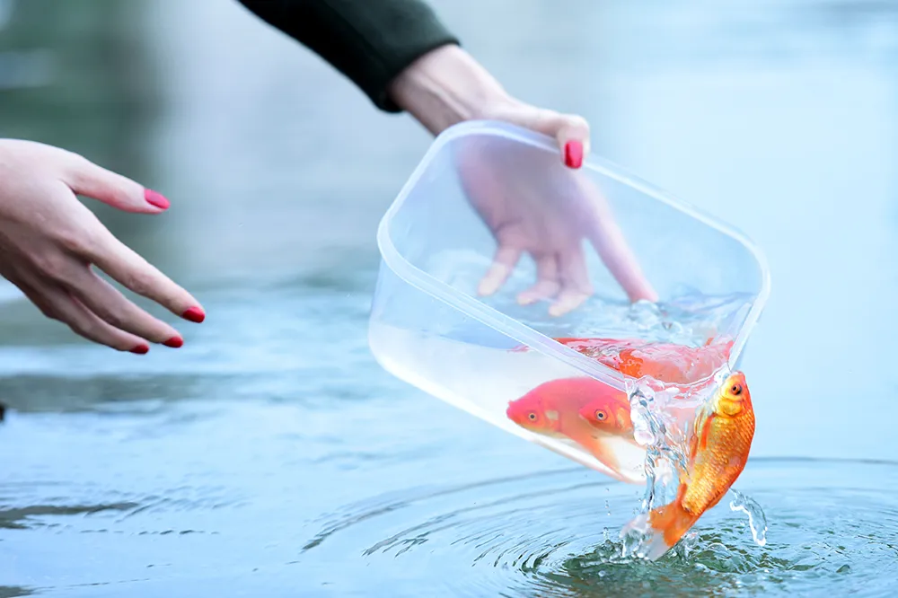 3-ngay-dep-de-cung-ong-cong-ong-tao-3