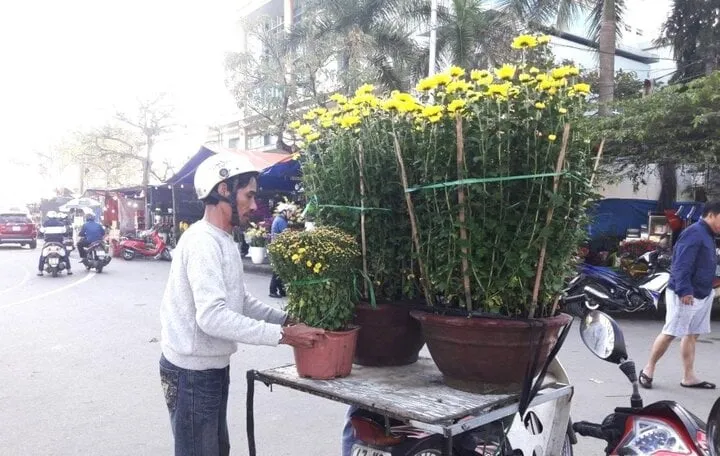 cho-hoa-tet-bang-xe-may-co-the-bi-phat-2