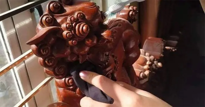 cach-ve-sinh-ban-ghe-rong-phuong-don-gian-1