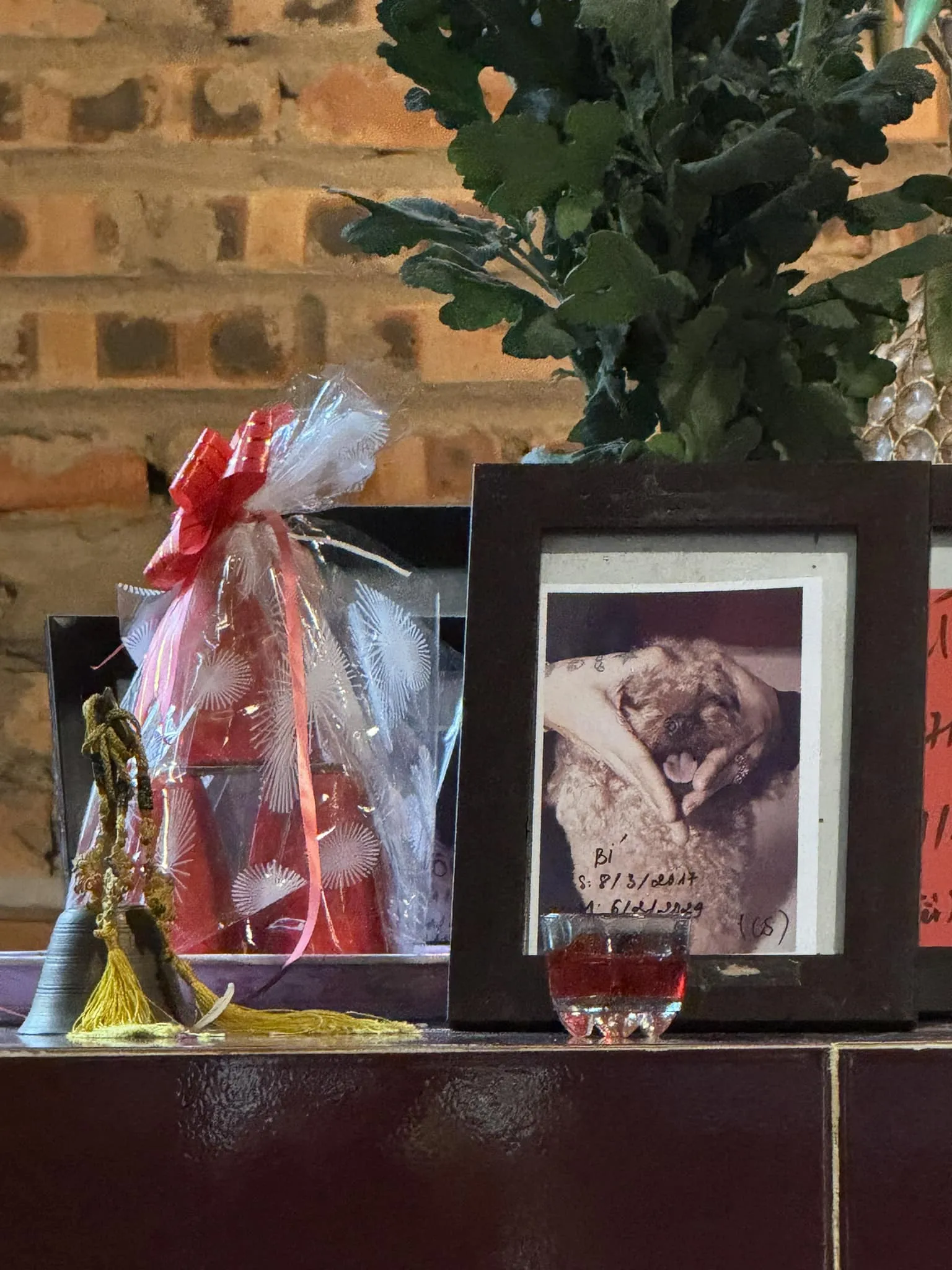 cho-cung-chau-bui-qua-doi