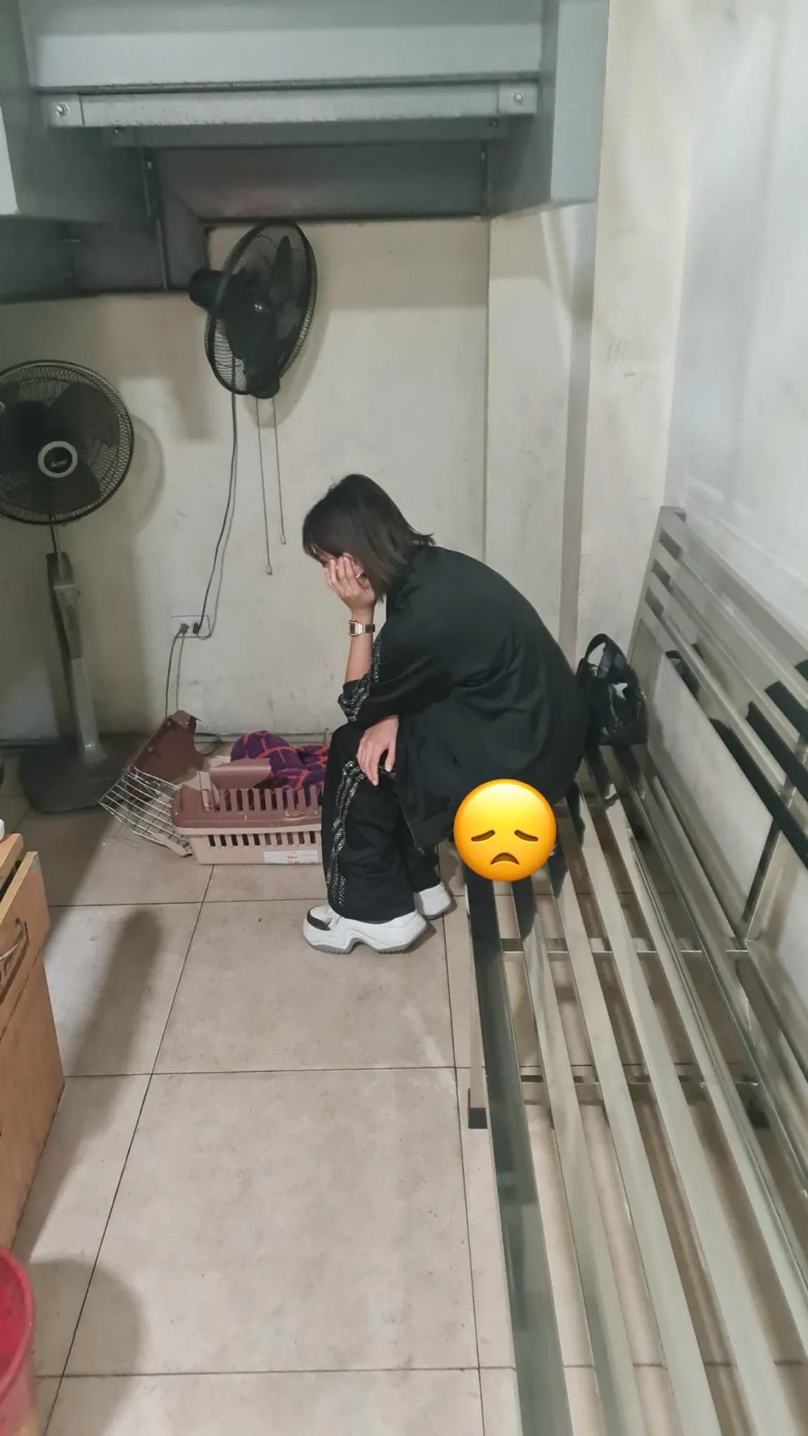 cho-cung-cua-chau-bui-qua-doi-tren-may-bay-1