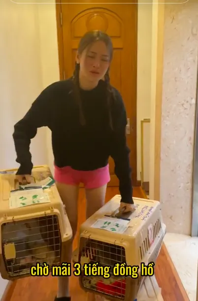 dien-vien-thuy-anh-don-thu-cung-1