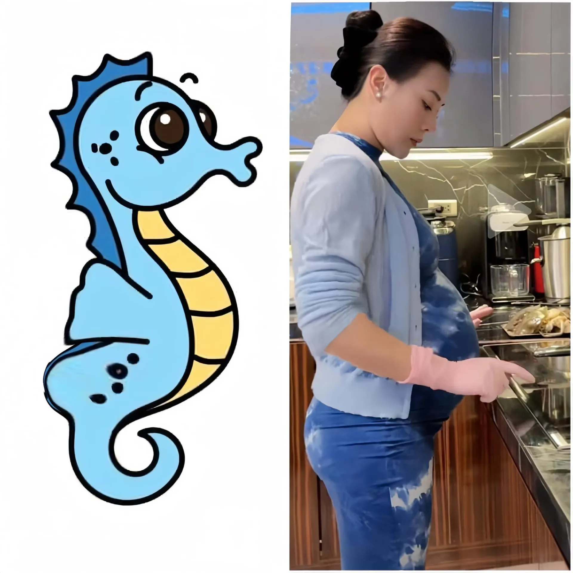 dien-vien-phuong-oanh-lu-lan-khi-mang-thai