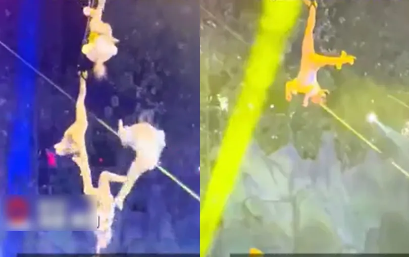 dien-vien-xiec-tu-vong-khi-bieu-dien (1)