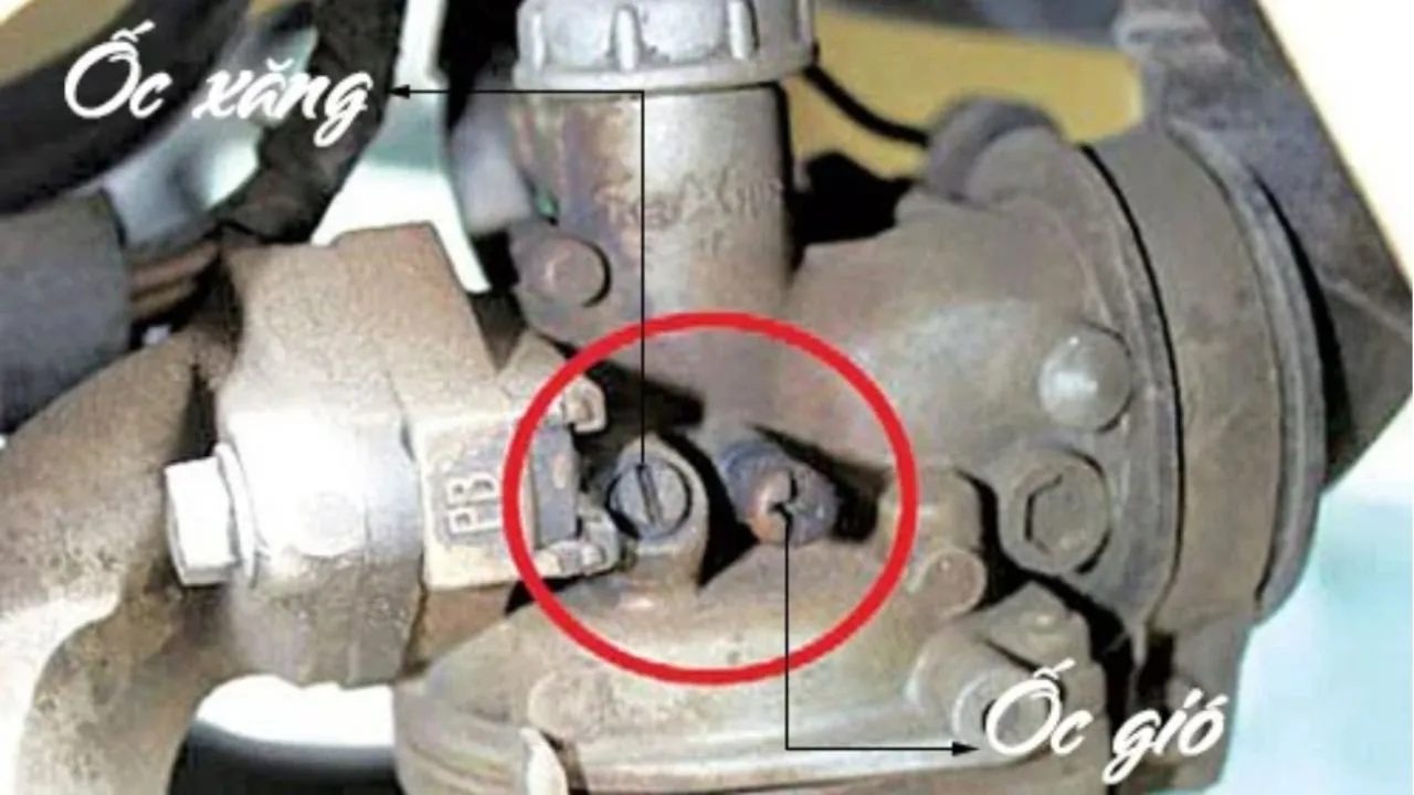 kiem-tra-xe-an-xang-nhanh-chong