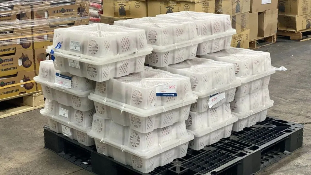 vai-thieu-bac-giang-ban-chay-hang-tai-my-du-co-gia-3,2-trieu-dong-5-kg (1)