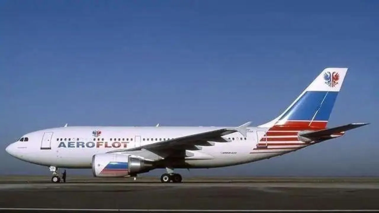 Bat-can-de-con-vao-buong-lai-choi-phi-cong-khien-may-bay-gap-tai-nan-kinh-hoang (1)