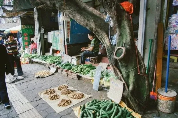 kiem-duoc-tien-ty-chi-voi-mot-sap-rau-nguoi-dan-ong-trung-quoc-bat-mi-tuyet-chieu-ban-hang-thu-loi-nhuan-khung