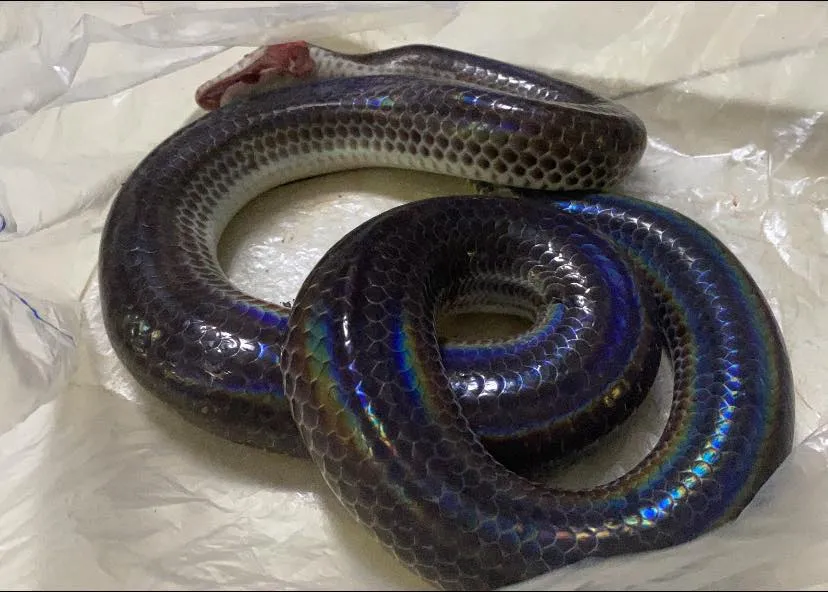 347565225_551509027159645_1019141447248526513_n