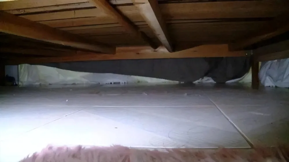 don-dep-phong-nguoi-phu-nu-phat-hien-ten-trom-nam-duoi-gam-giuong-soc-voi-mon-do-da-lay-yeah1