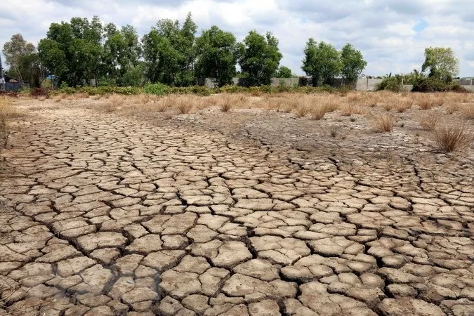 ttxvn_el_nino