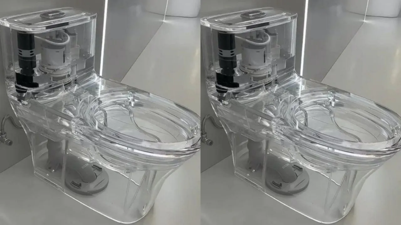 yeah1-chiec-bon-ve-sinh-trong-suot