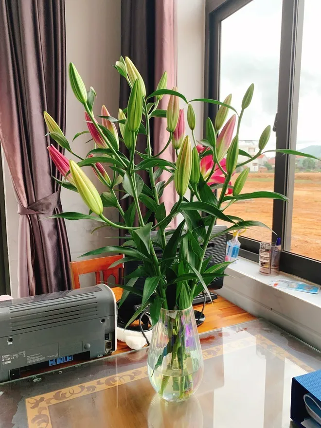 yeah1-co-ngoi-cua-hoa-hau-y-nhi (6)