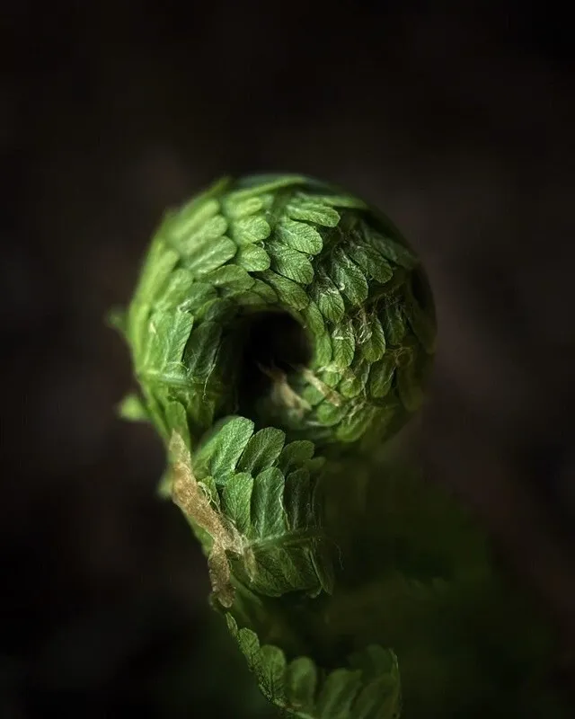 yeah1-loat-anh-iphone (11)