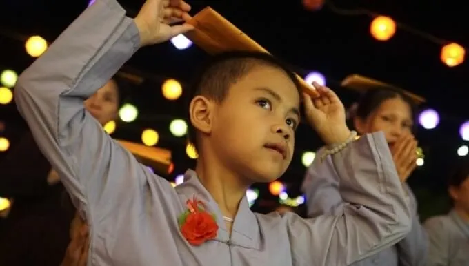 yeah1-hoa-hong-cai-ao (2)