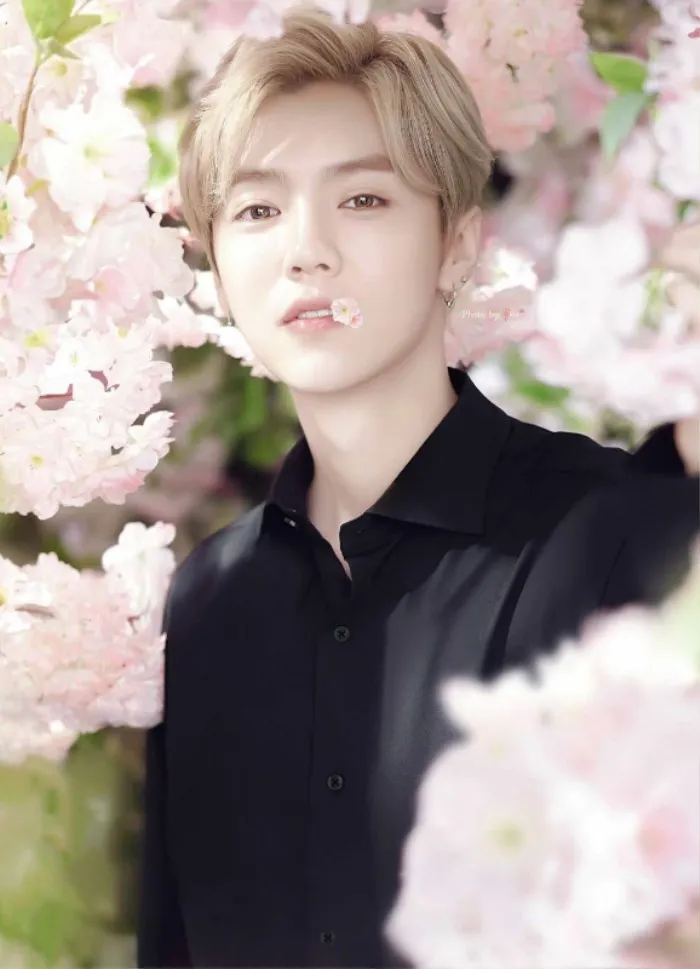 loc-ham-va-quan-hieu-dong-dang-ky-ket-hon (5)