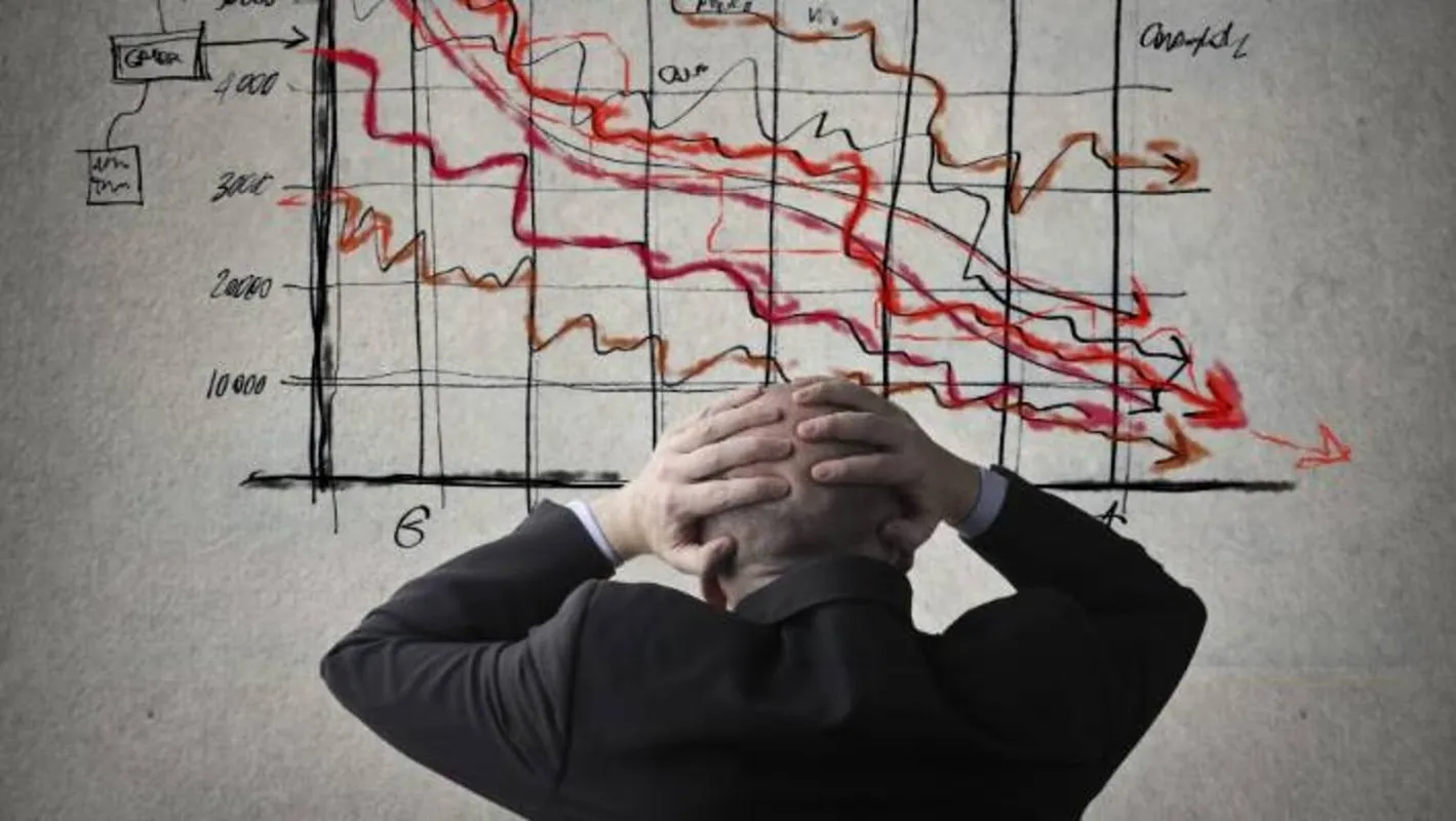 chan-dong-loi-tien-tri-cua-vanga-ve-nam-2024 (15)