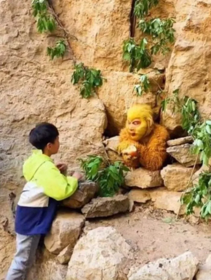 doc-la-cong-viec-chi-can-an-va-nam-moi-thang-nhan-luong-20-trieu (3)