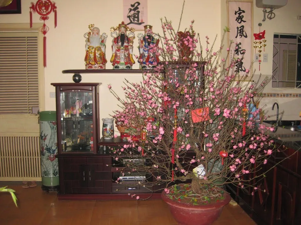 cay-dao-tet-nen-dat-o-dau-trong-nha (2)