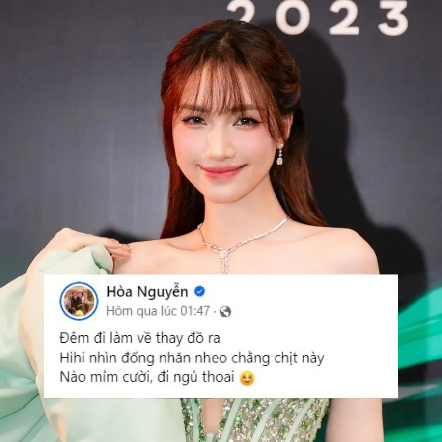 hoa-minzy-dang-anh-bung-day-vet-ran (3)