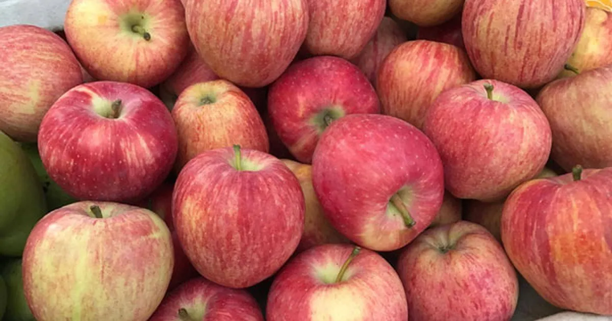 nhung-mon-nen-an-ngay-tet-de-may-man (2)