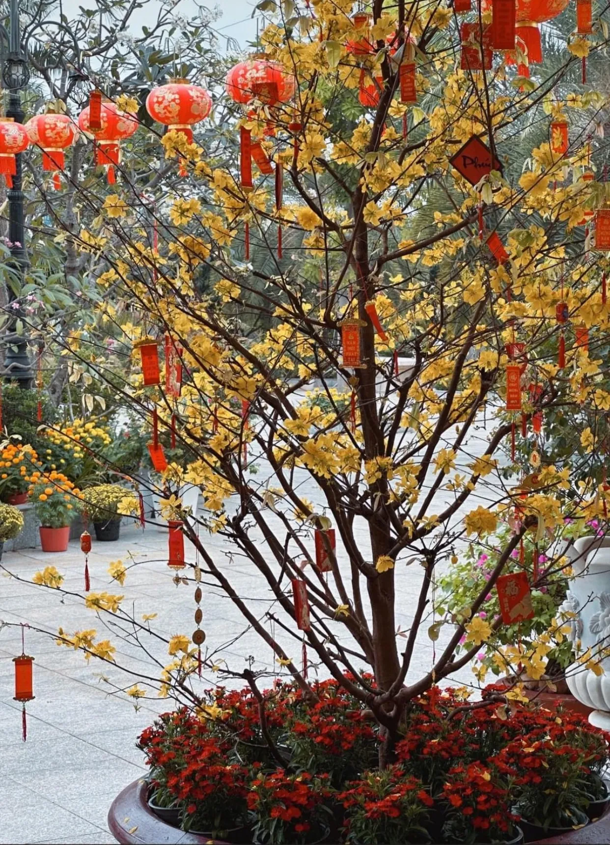 lan-khue-trang-tri-cung-dien-dat-vang-don-tet (12)