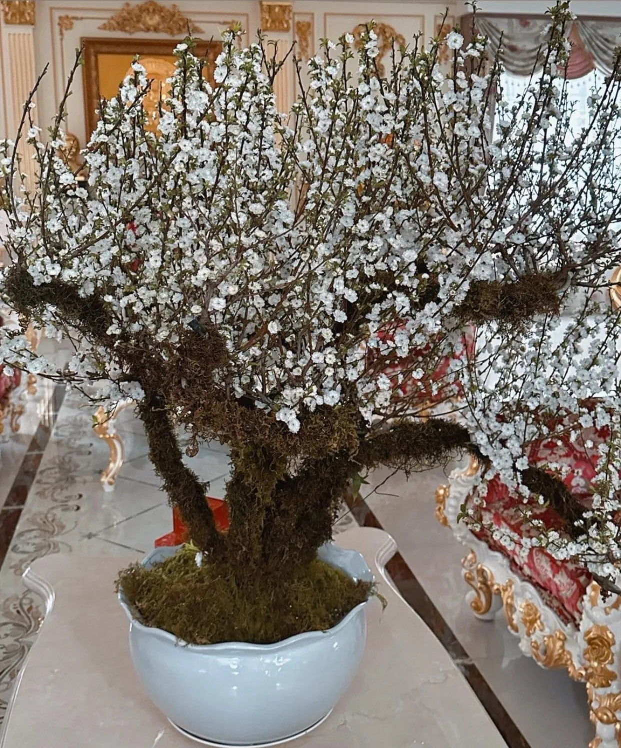 lan-khue-trang-tri-cung-dien-dat-vang-don-tet (13)