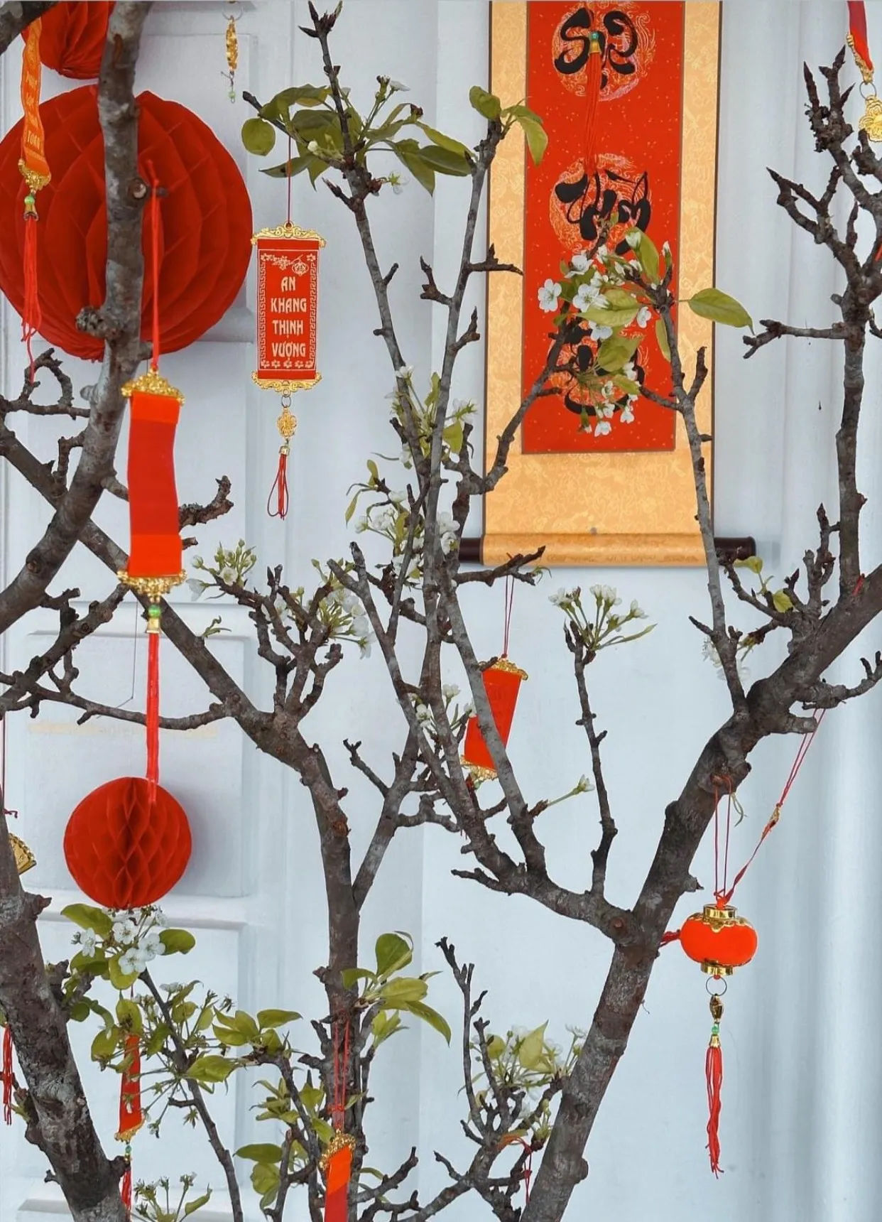 lan-khue-trang-tri-cung-dien-dat-vang-don-tet (14)