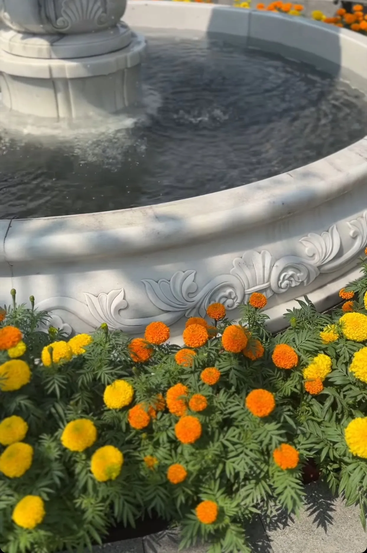 lan-khue-trang-tri-cung-dien-dat-vang-don-tet (9)