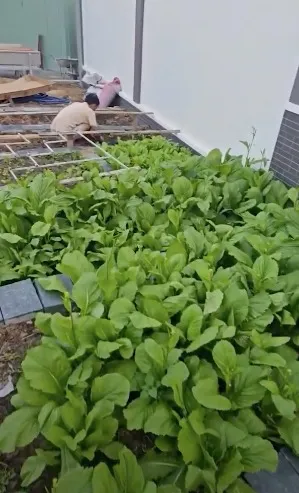 co-ngoi-moi-cua-le-duong-bao-lam-khien-dan-tinh-tram-tro (19)