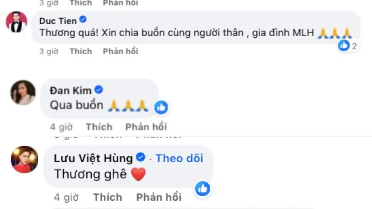 nu-chinh-mv-tinh-don-phuong-cua-dan-truong-qua-doi (1)